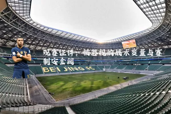 观赛证件:被忽视的战术变量与赛制安全阀